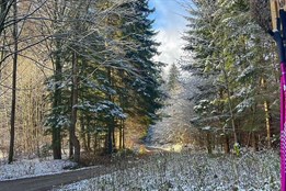 První sníh kouzlí v Jeseníkách pohádkovou zimní scenérii