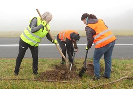 Zaměstnanci kraje a Continental Barum sázeli stromy