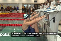 Kosatky Karviná pořádaly krajský přebor v plavání, účastnily se děti z Moravy a Slezska