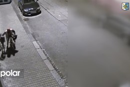 Skákal přes ploty a lup si schovával do křoví, zloděj z Přívozu byl dopaden