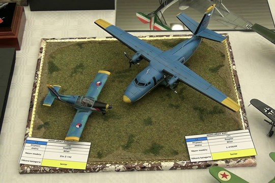 Pečlivost, trpělivost a přesnost se zrcadlila v dílech modelářů