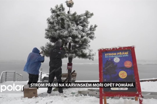 Strom přání na Karvinském moři opět pomáhá, psát si můžete o věci, které mají smysl