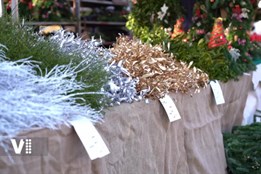 V Hradci začínají vánoční trhy