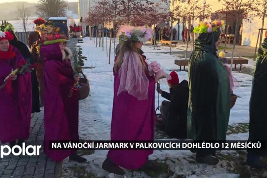 Na vánoční jarmark a rozsvícení stromu letos v Palkovicích dohlédlo dvanáct měsíčků