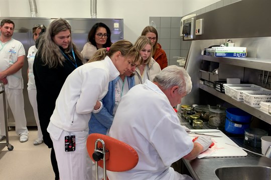 Oddělení patologické anatomie pořádalo den otevřených dveří