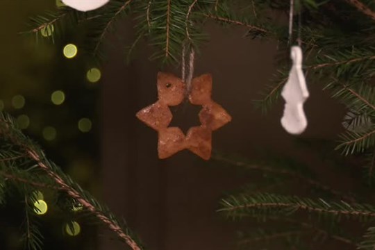 Hodkovice nad Mohelkou přivítaly advent o den dříve