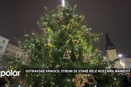 Ostravské Vánoce: strom ze Staré Bělé rozzářil celé Masarykovo náměstí