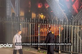 Galerie Plato v Ostravě otevřela čtyři nové výstavy současného umění. Stojí za návštěvu