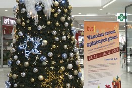 Strom splněných přání se rozsvítil, radost dělá především dětem