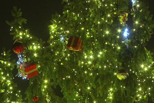 Vánoční strom osvětlil Masarykovo náměstí v Kyjově