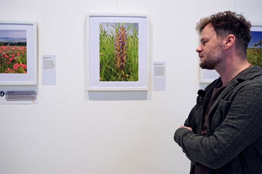 Když se řekne plevel: Botanická zahrada UP ukazuje, že i „nechtěné“ rostliny mají svůj příběh