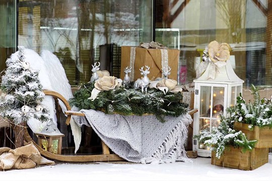 Vánoce v olomoucké zoo: pohádky, zvířata i večerní prohlídky