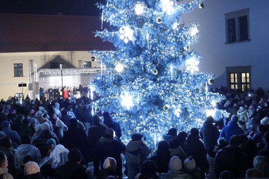 Místní věří, že jejich vánoční strom bude nejhezčí v republice