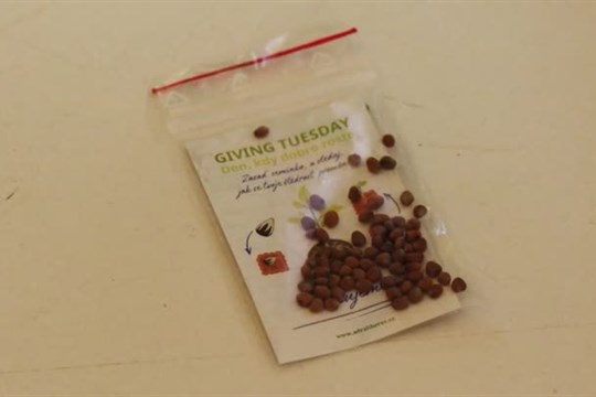 Školy v LK se připojily k akci Giving Tuesday