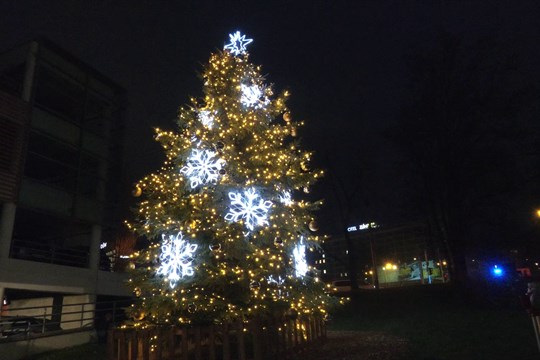 Baťův mrakodrap má poprvé vlastní vánoční strom