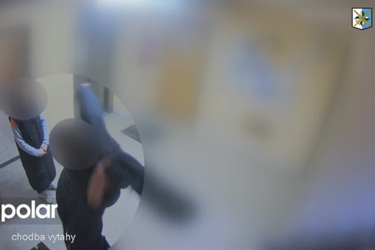 Několikrát okradl seniorku a její dceru na vozíku, pak obě ženy násilně napadl