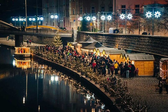 Olomoucká náplavka poprvé zazářila: 41 stromečků a vánoční zážitky u řeky