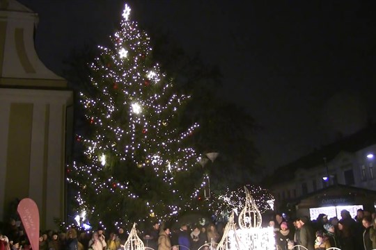 Rozsvícení vánočního stromu odstartovalo adventní čas v Hodoníně
