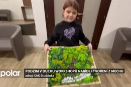 Podzim v duchu workshopů nabídl i tvoření obrazů z mechu