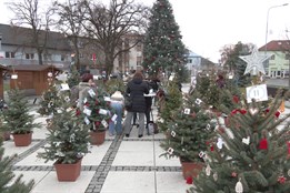 Na náměstí v Hulíně je třicet vánočních stromečků a výstava betlémů