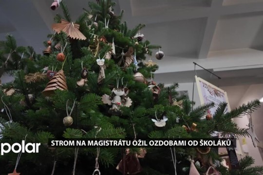 Strom na magistrátu ožil ozdobami od školáků