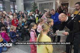 Havířovští školáci nazdobili vánoční strom ve vestibulu magistrátu