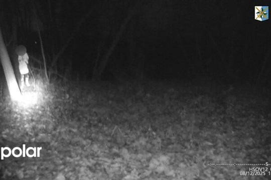 Spolykala léky a chtěla skočit pod tramvaj. Policie zachránila mladou dívku