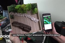 BEZ KOMENTÁŘE: Mechové obrazy - tvořivý workshop ve Studénce