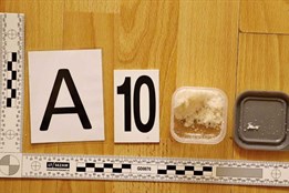 Prostějovští kriminalisté rozbili skupinu prodejců pervitinu