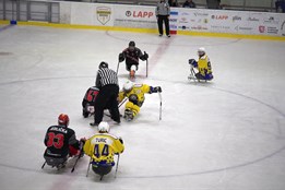 Sledge hokejisté Zlína se s Olomoucí podělili o body