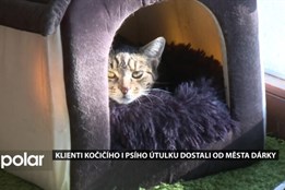 Frýdek-Místek dlouhodobě podporuje útulky, o Vánocích zajistil i dárky