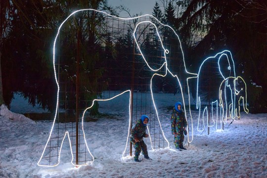 Děti do 12 let mají o Vánocích vstup do zlínské zoo jen za korunu