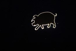 Nad koštem zelňaček proběhlo zlaté prasátko