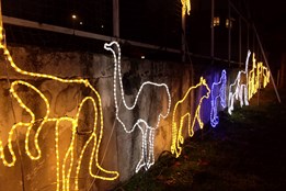 Světelný betlém a zoo budou zářit až do Tří králů