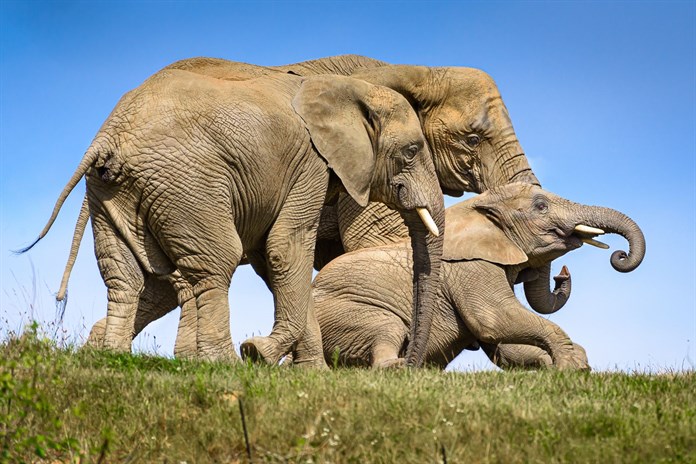 Od magické hranice 800 000 návštěvníků dělí zlínskou zoo už jen pár dnů