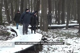 V Bělském lese přibyly další povalové chodníky