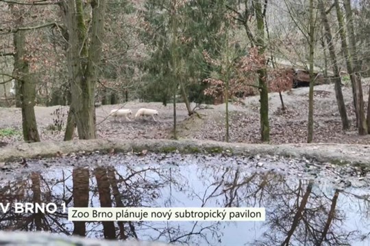 Zoo Brno plánuje nový subtropický pavilon