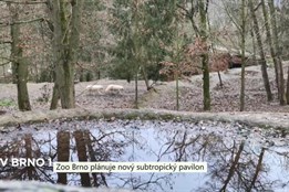 Zoo Brno plánuje nový subtropický pavilon