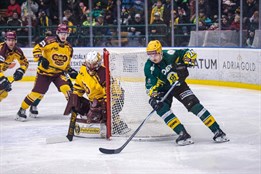 Berani padli v Táboře, Vsetín před nejvyšší návštěvou porazil Jihlavu