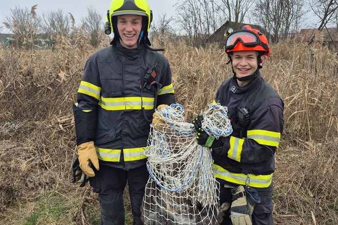 Nejkurióznější zásah roku? Na Štěpána hon na klokana