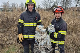 Nejkurióznější zásah roku? Na Štěpána hon na klokana