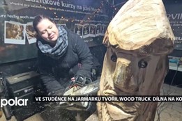 BEZ KOMENTÁŘE: Ve Studénce na jarmarku tvořil Wood truck