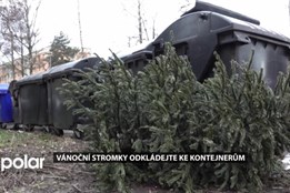 Vánoční stromky odkládejte ke kontejnerům. OZO provádí jejich svoz