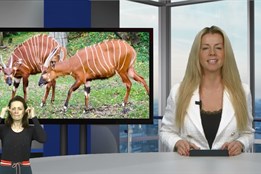 Týden v regionech 22. 12. 2025