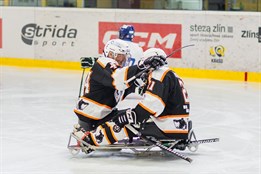 Sledge hokejisté Zlína na závěr základní části přehráli Havířov, zahrají si o bronz