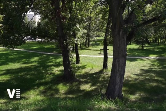 Hradec vzdá hold Františce Plamínkové