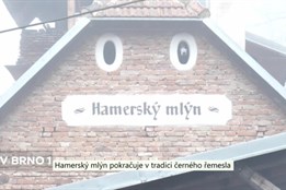 Hamerský mlýn pokračuje v tradici černého řemesla