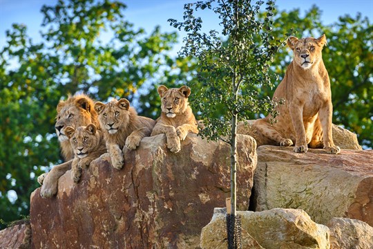 Zoo Zlín má za sebou nejlepší rok v historii