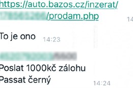 Nechali si poslat zálohu a zboží neposlali. Policisté z Opavy odhalili podvodné prodejce