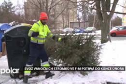 Odevzdané vánoční stromky využije Frýdecká skládka pro výrobu kompostu